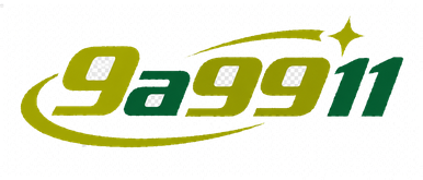 9a9911